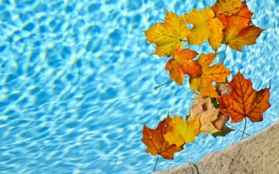 Enjoy your pool patio this fall