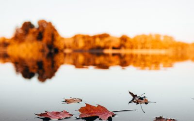 How to continue enjoying your patio this fall